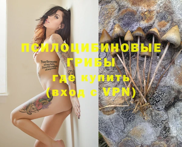 кокаин премиум Алексин