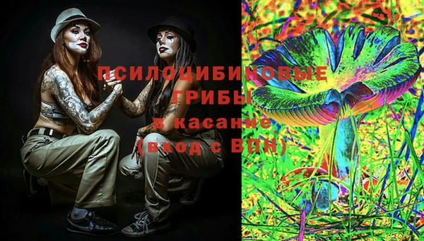 прущие крисы Алзамай
